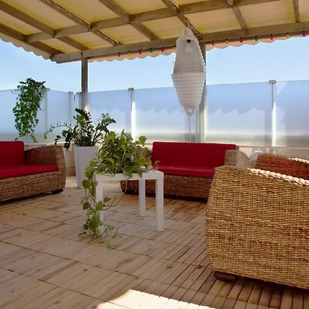 International גביצ'ה מארה