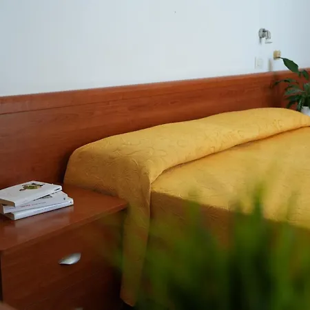 International מלון