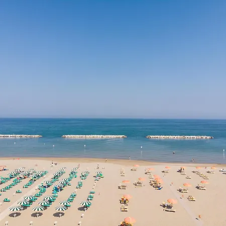 מלון International