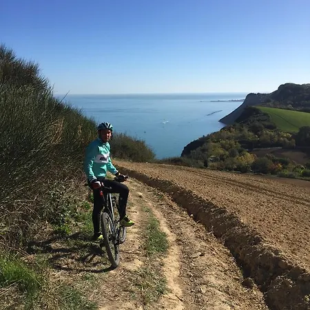 International Gabicce Mare